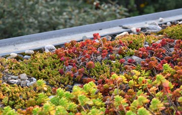 the cost of Kinninvie green roof installation