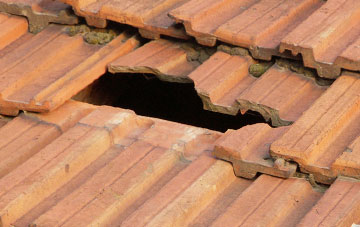 roof repair Kinninvie, County Durham